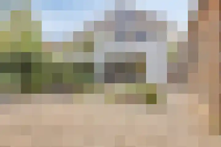 Merijntje Gijzenlaan 27 Bergen op Zoom thumbnail 36