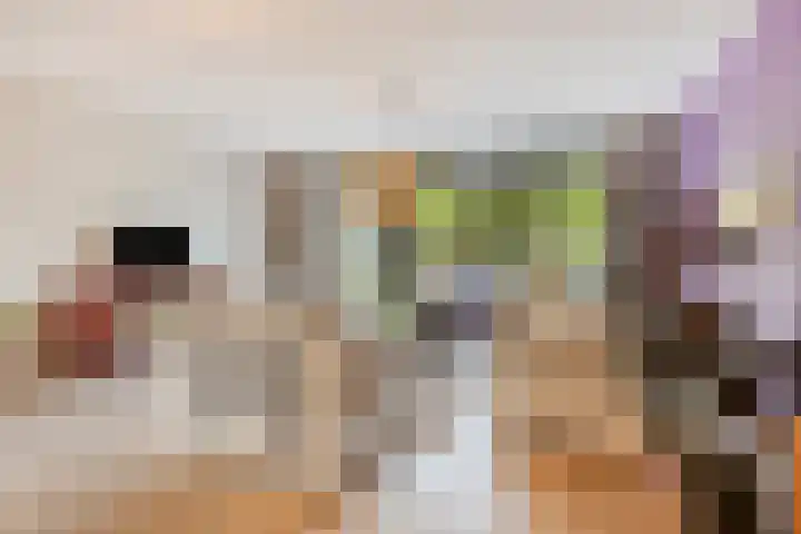 Merijntje Gijzenlaan 27 Bergen op Zoom thumbnail 4