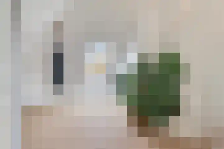 Merijntje Gijzenlaan 29 Bergen op Zoom thumbnail 36