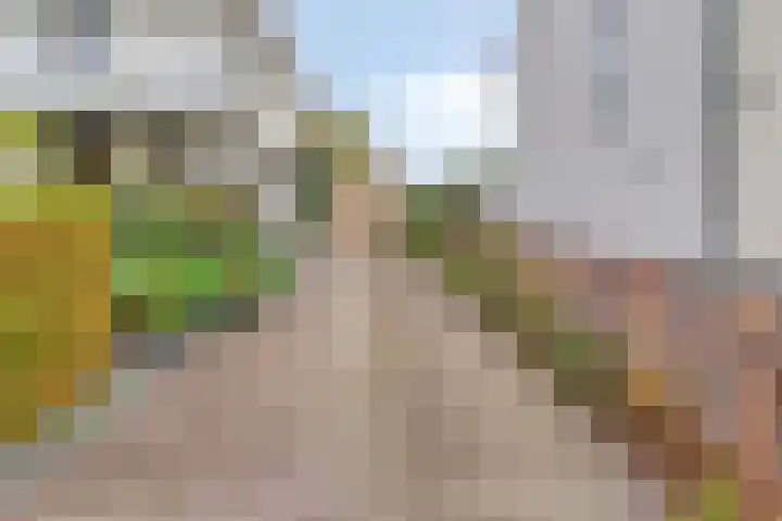 Merijntje Gijzenlaan 29 Bergen op Zoom thumbnail 40