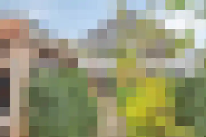 Merijntje Gijzenlaan 29 Bergen op Zoom thumbnail 44