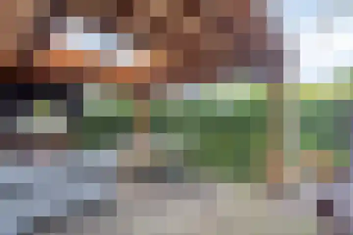 Merijntje Gijzenlaan 29 Bergen op Zoom thumbnail 46