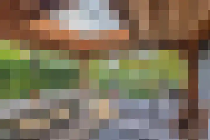 Merijntje Gijzenlaan 29 Bergen op Zoom thumbnail 47