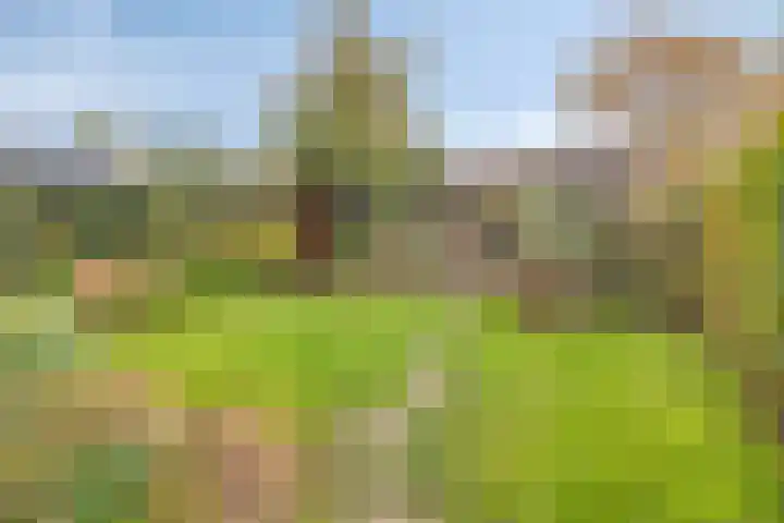 Merijntje Gijzenlaan 29 Bergen op Zoom thumbnail 52