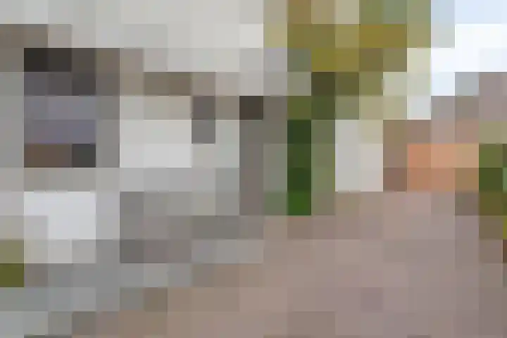Merijntje Gijzenlaan 29 Bergen op Zoom thumbnail 6