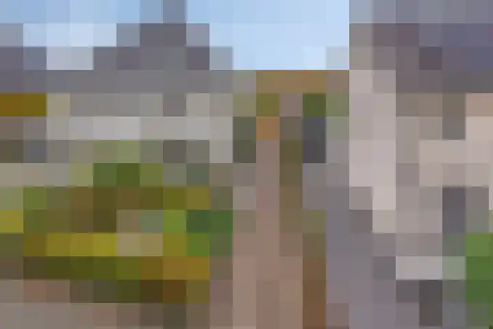 Merijntje Gijzenlaan 29 Bergen op Zoom thumbnail 65