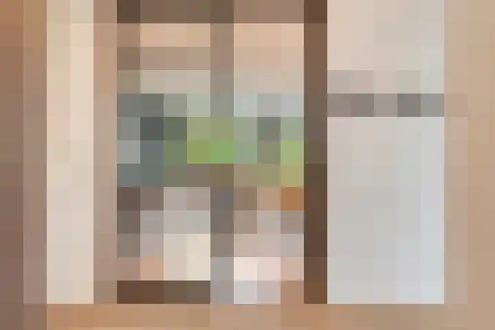 Merijntje Gijzenlaan 29 Bergen op Zoom thumbnail 9