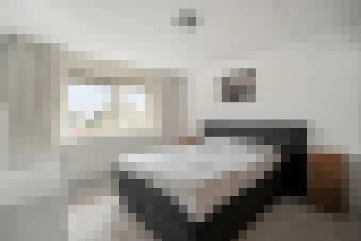 Mering 79 Hippolytushoef thumbnail 20