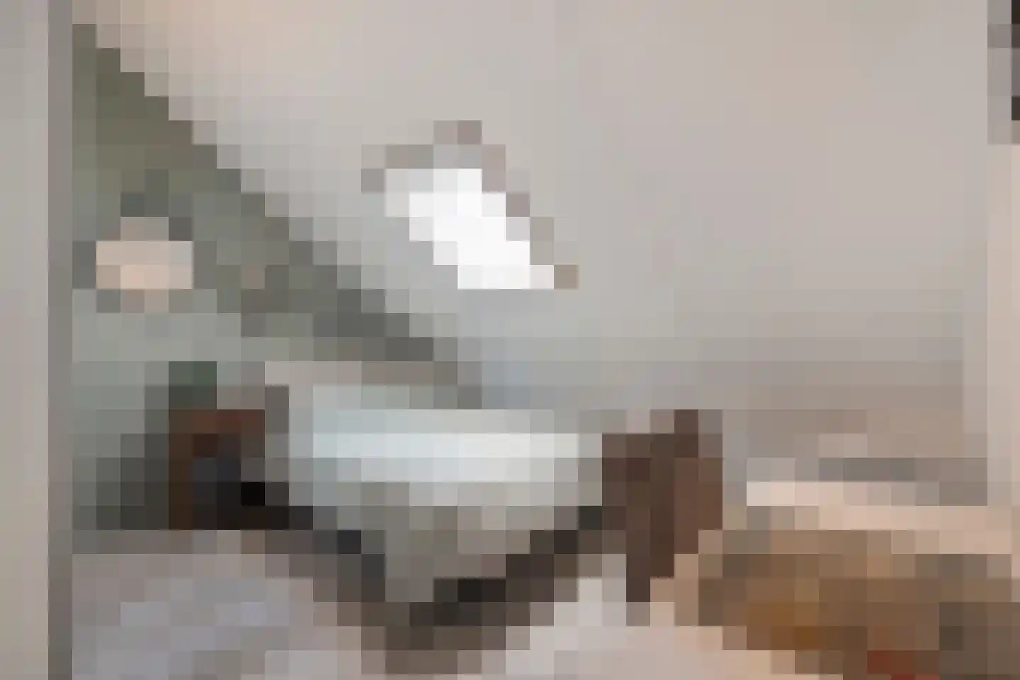 Mering 79 Hippolytushoef thumbnail 30