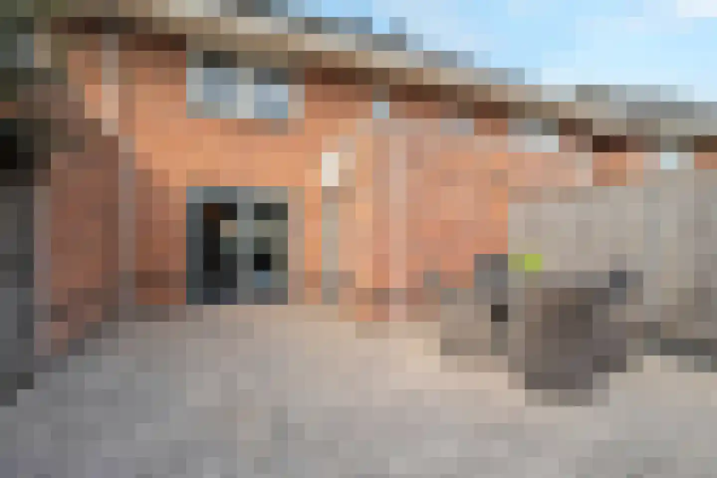 Mering 79 Hippolytushoef thumbnail 31