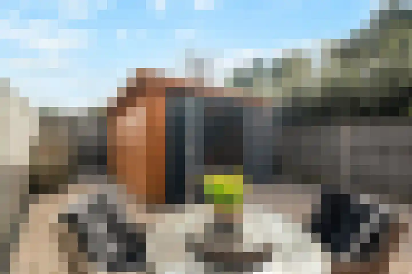 Mering 79 Hippolytushoef thumbnail 4
