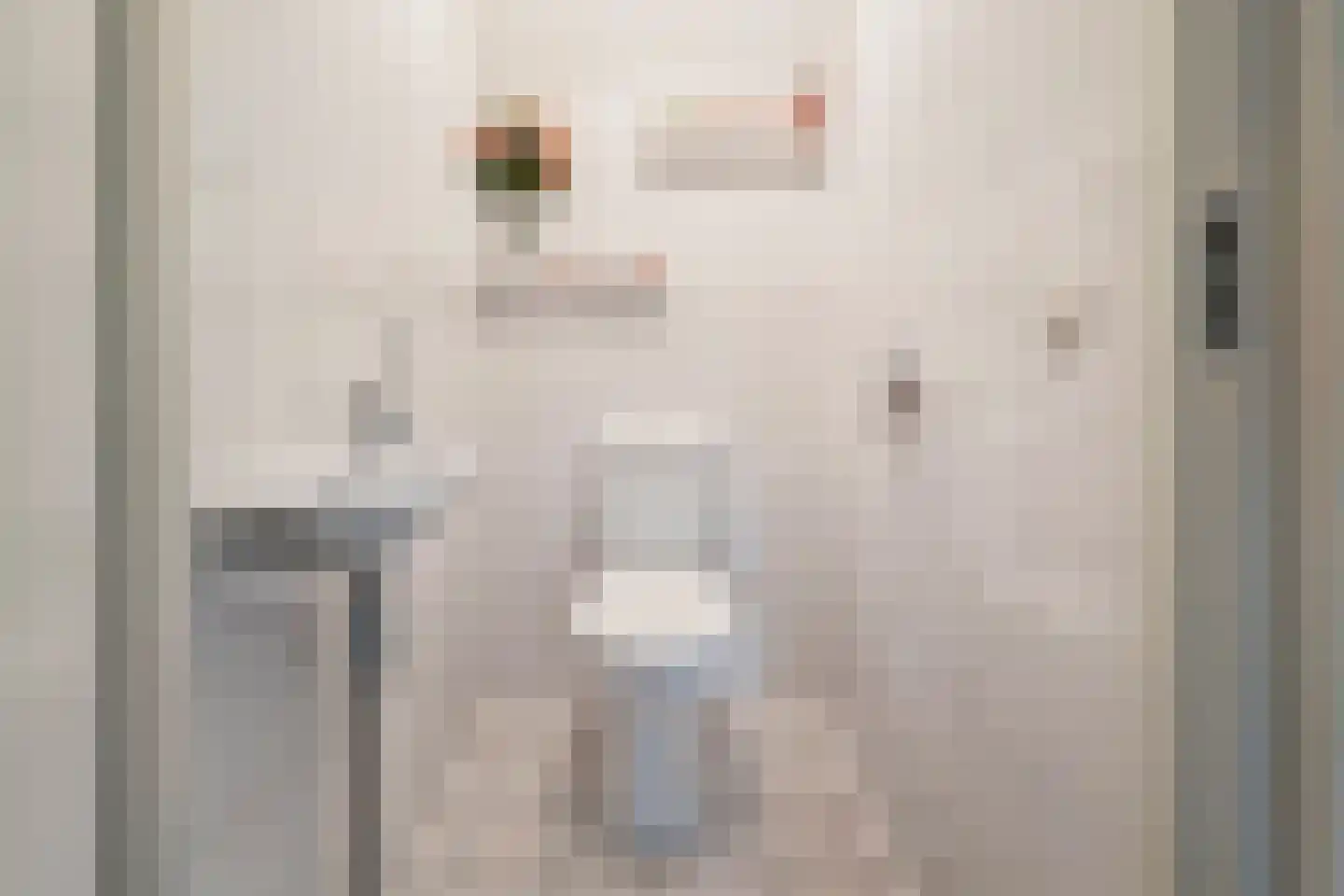 Mering 79 Hippolytushoef thumbnail 8
