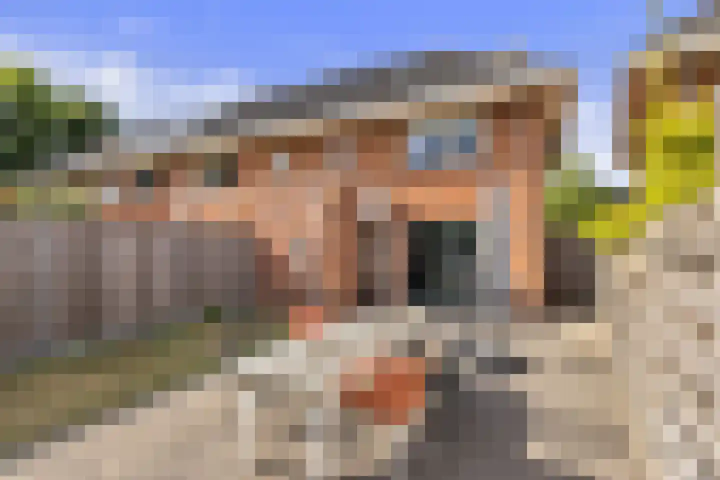 Mering 81 Hippolytushoef thumbnail 4