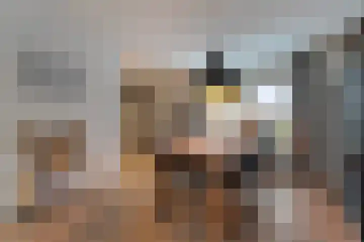 Mering 99 Hippolytushoef thumbnail 11