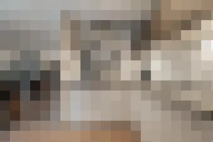 Mering 99 Hippolytushoef thumbnail 14