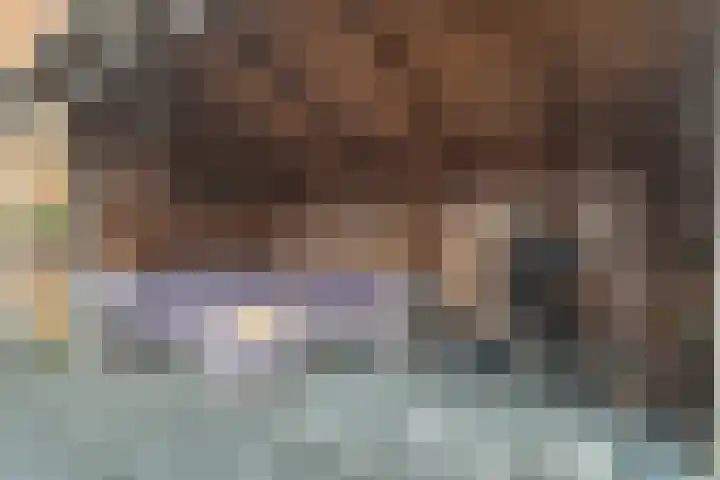 Mering 99 Hippolytushoef thumbnail 17