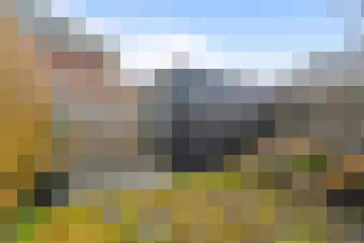 Mering 99 Hippolytushoef thumbnail 20