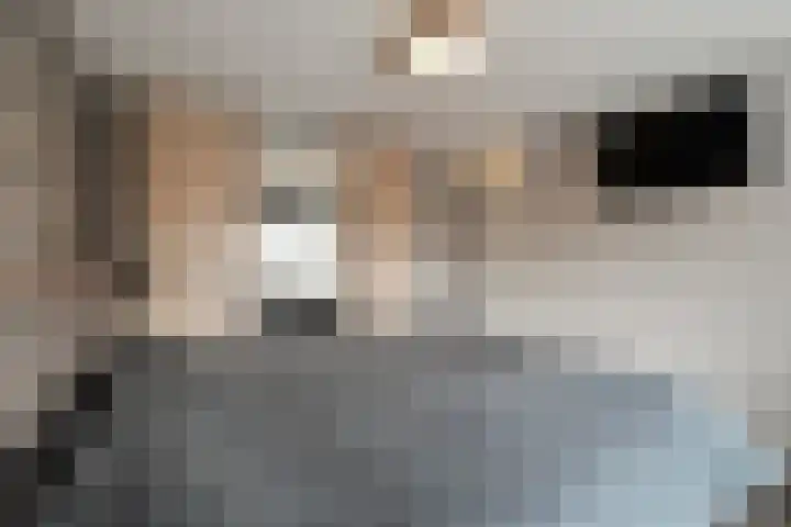Mering 99 Hippolytushoef thumbnail 24
