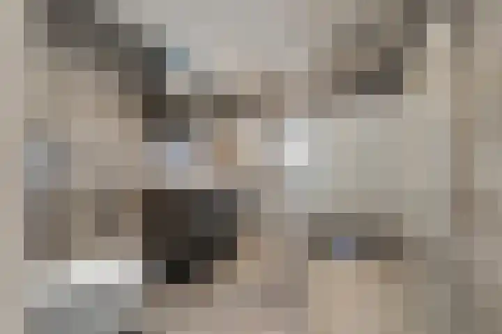 Mering 99 Hippolytushoef thumbnail 25