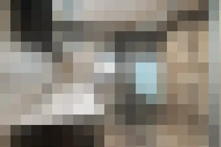 Mering 99 Hippolytushoef thumbnail 26
