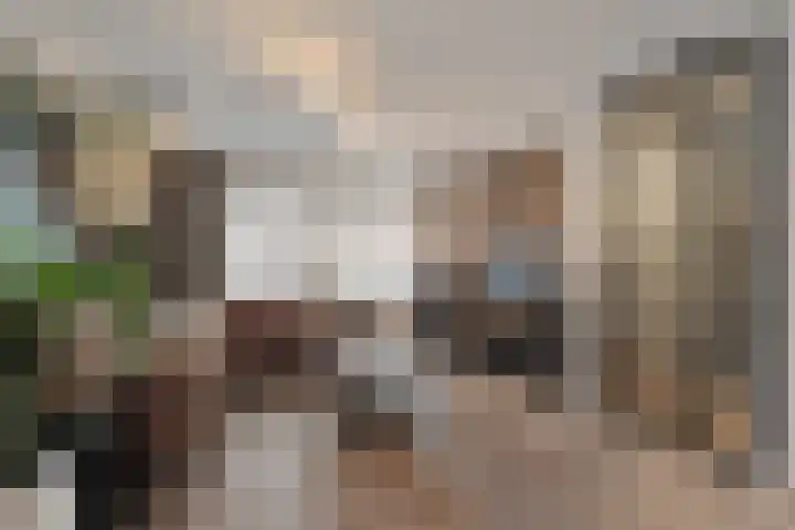 Mering 99 Hippolytushoef thumbnail 7