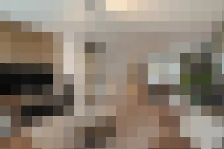 Mering 99 Hippolytushoef thumbnail 9
