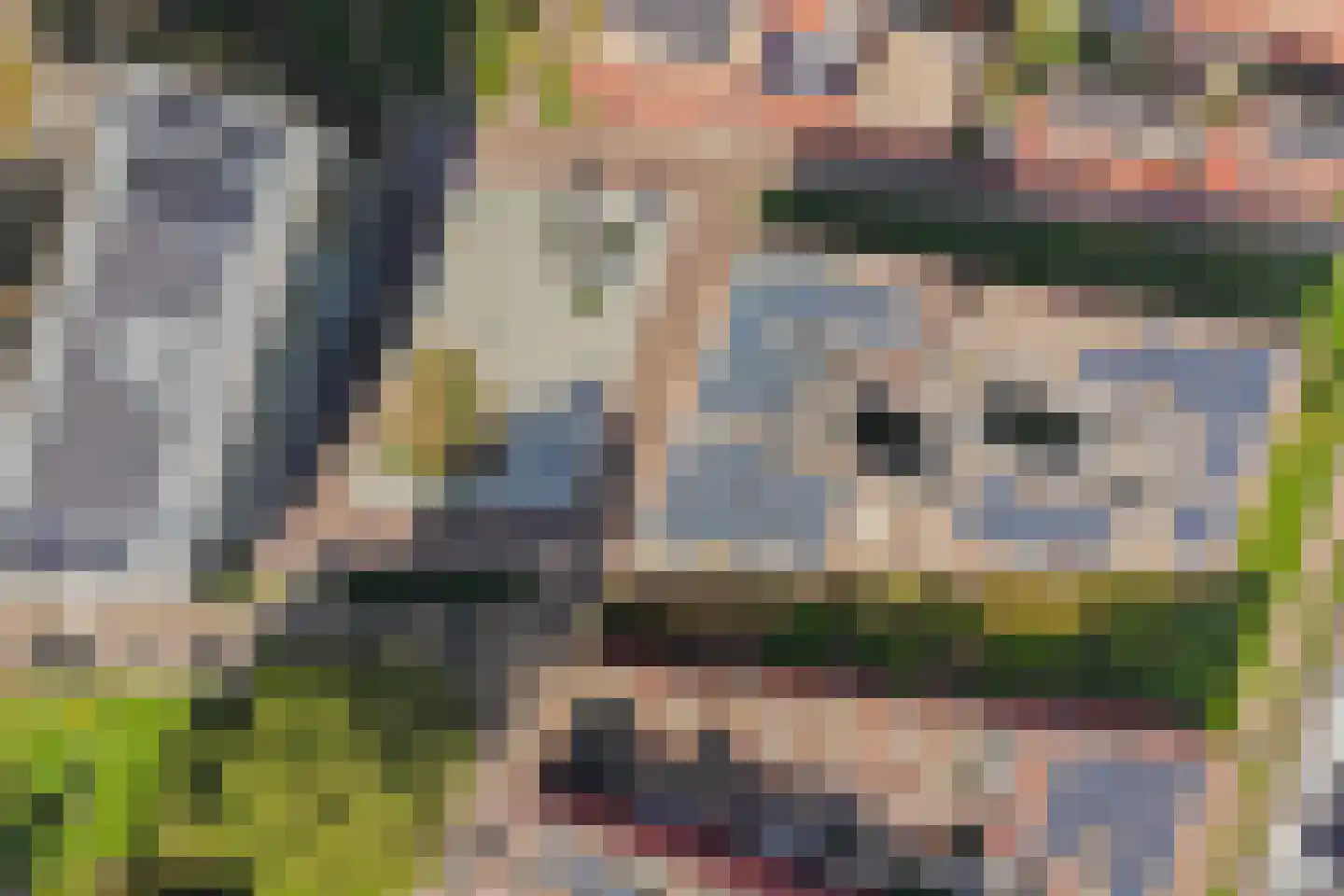 Merkatplantsoen 30 B 02 Maastricht thumbnail 15