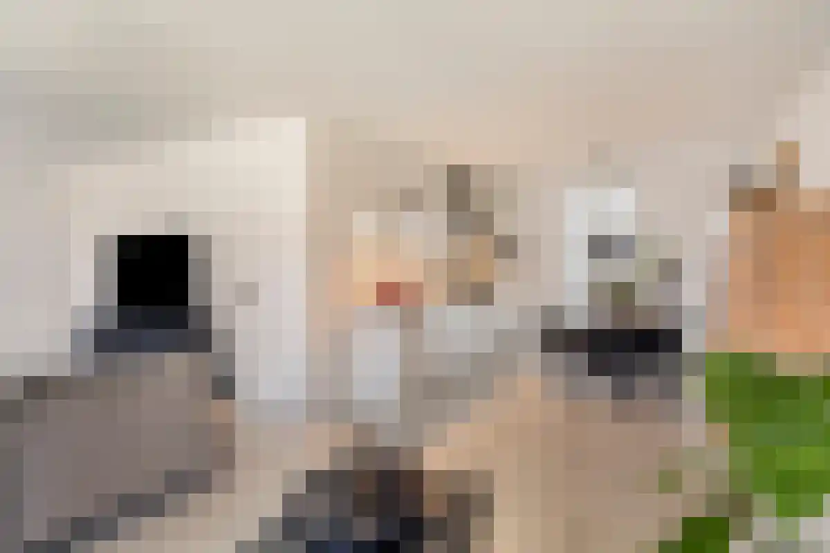 Merkatplantsoen 30 Maastricht thumbnail 4