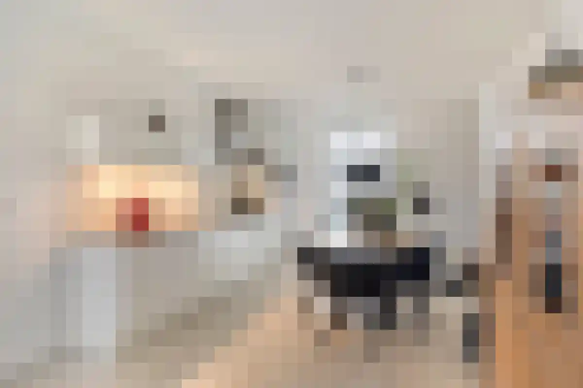Merkatplantsoen 30 Maastricht thumbnail 5
