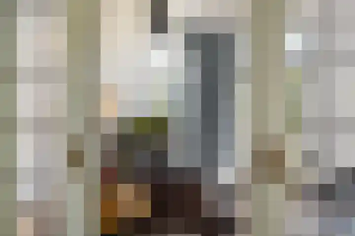 Merkebuorren 40 Wijnjewoude thumbnail 14