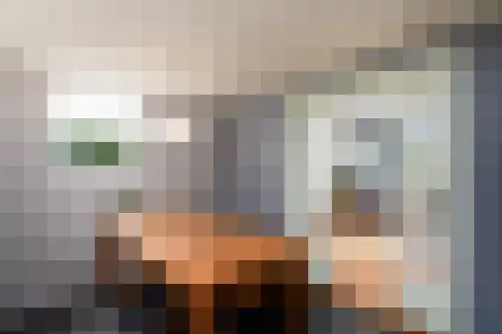Merkebuorren 40 Wijnjewoude thumbnail 15