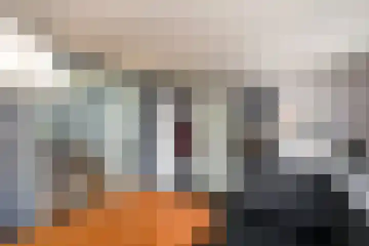 Merkebuorren 40 Wijnjewoude thumbnail 16