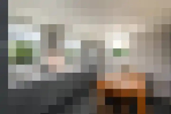 Merkebuorren 40 Wijnjewoude thumbnail 17