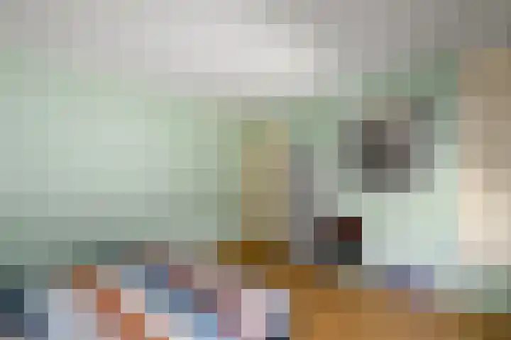 Merkebuorren 40 Wijnjewoude thumbnail 22
