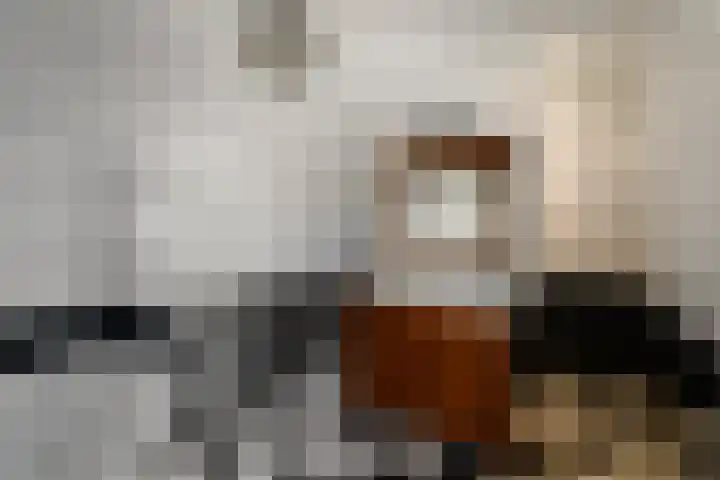 Merkebuorren 40 Wijnjewoude thumbnail 23