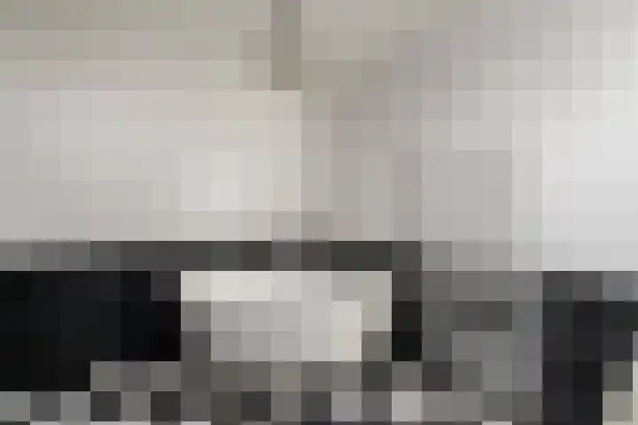 Merkebuorren 40 Wijnjewoude thumbnail 24