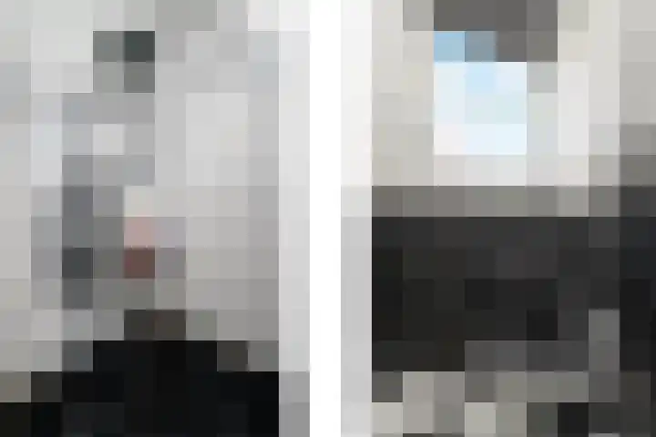 Merkebuorren 40 Wijnjewoude thumbnail 25