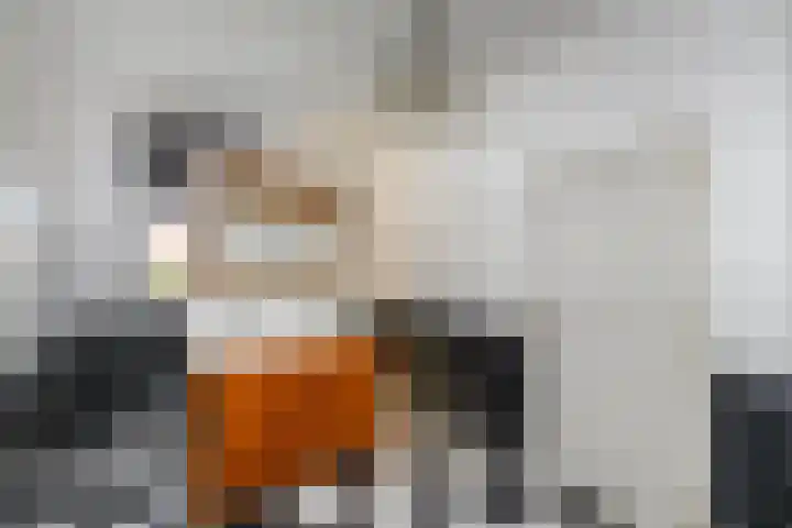 Merkebuorren 40 Wijnjewoude thumbnail 27