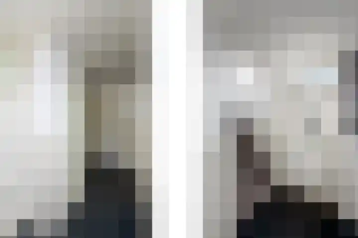 Merkebuorren 40 Wijnjewoude thumbnail 30