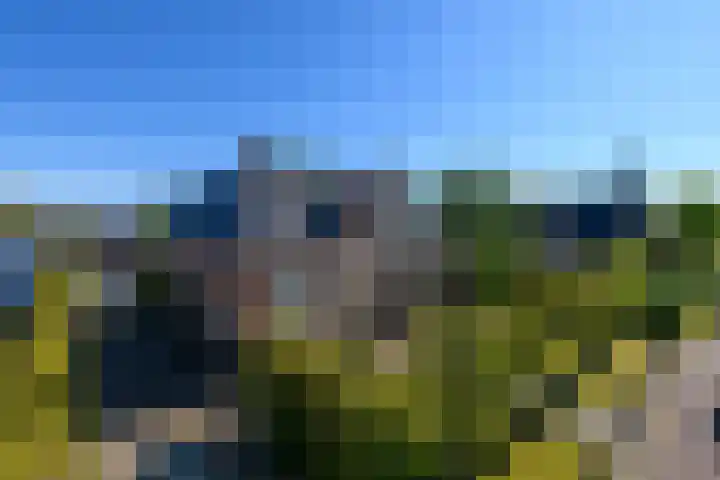Merkebuorren 40 Wijnjewoude thumbnail 4