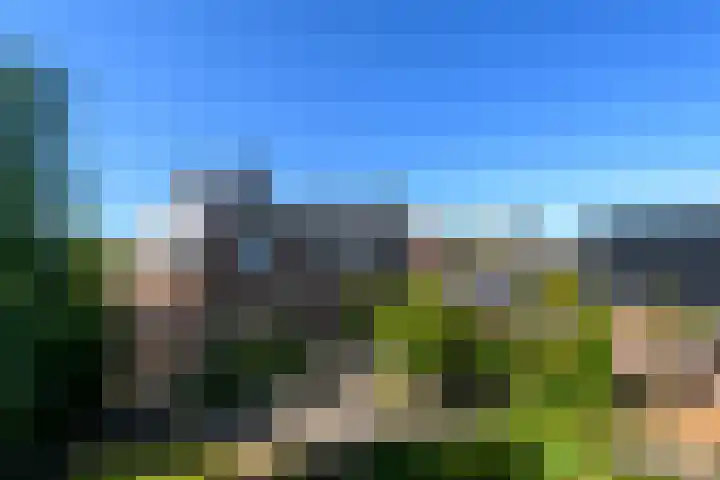 Merkebuorren 40 Wijnjewoude thumbnail 43