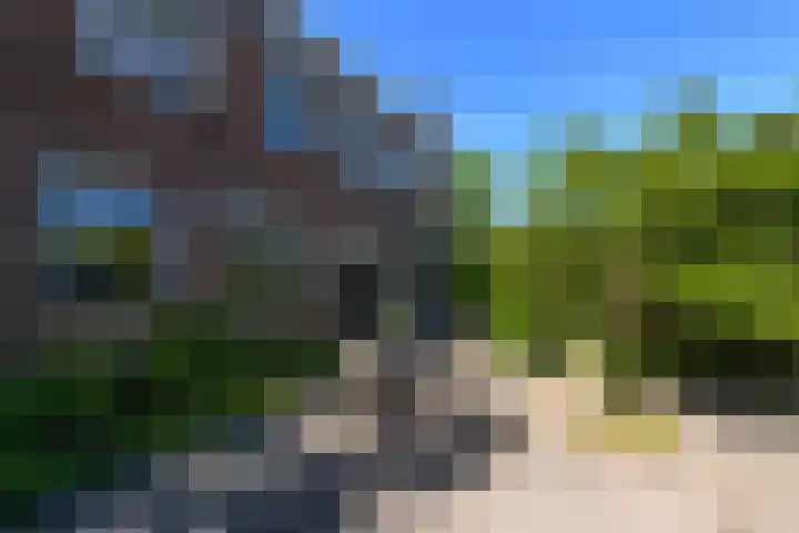 Merkebuorren 40 Wijnjewoude thumbnail 45