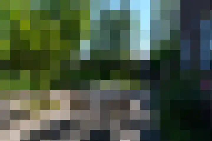 Merkebuorren 40 Wijnjewoude thumbnail 47