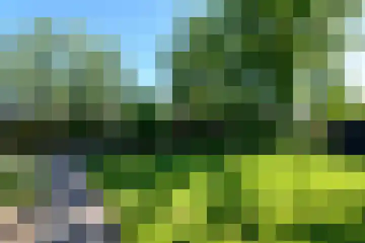 Merkebuorren 40 Wijnjewoude thumbnail 48
