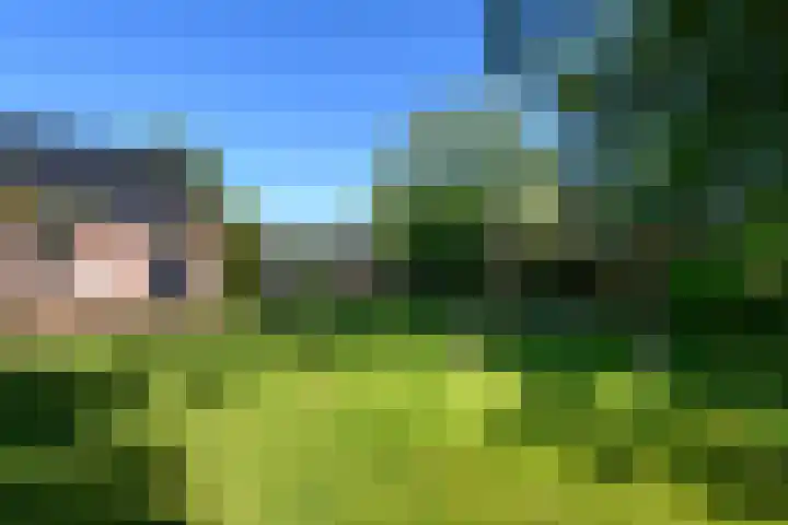 Merkebuorren 40 Wijnjewoude thumbnail 49