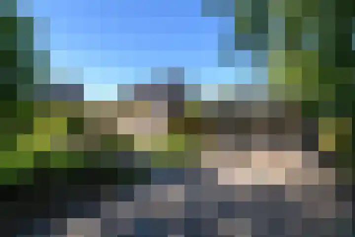 Merkebuorren 40 Wijnjewoude thumbnail 5