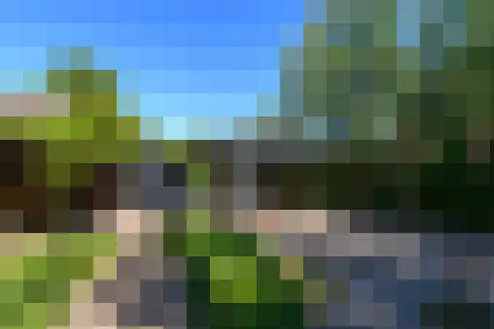 Merkebuorren 40 Wijnjewoude thumbnail 50