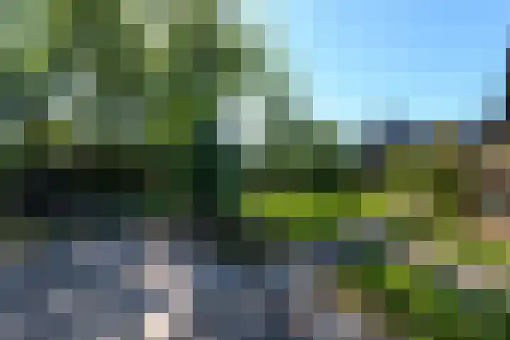 Merkebuorren 40 Wijnjewoude thumbnail 51