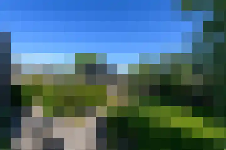 Merkebuorren 40 Wijnjewoude thumbnail 53