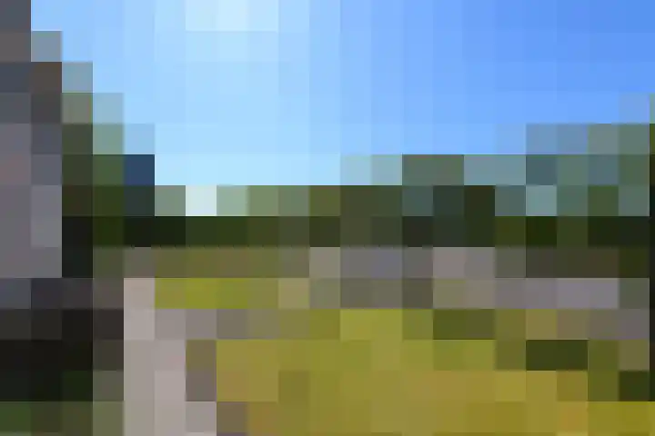 Merkebuorren 40 Wijnjewoude thumbnail 54